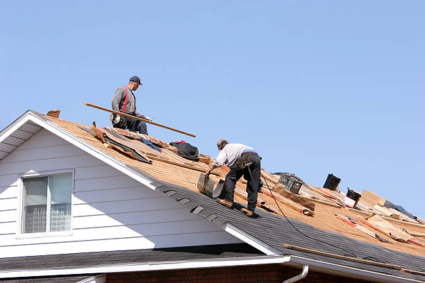 Best Roof Moss and Algae Removal  in Mansura, LA